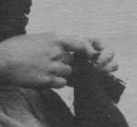 ガーンジーの首